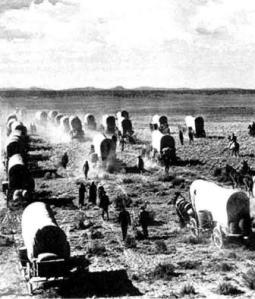 pioneer-wagons