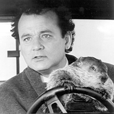 Don't Drive Angry
