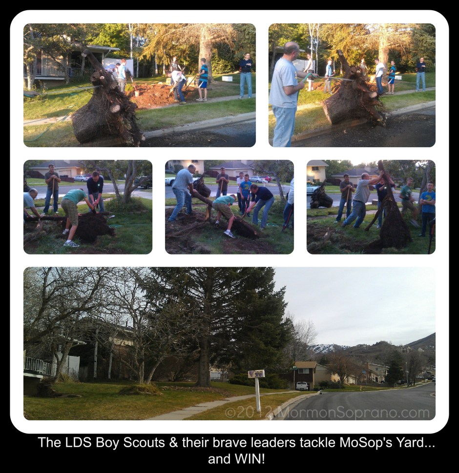 Christmas came early this year for us! Thank you, so much!