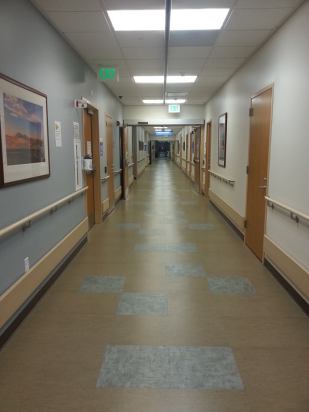 1232416_10152344279633294_656287885_n