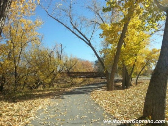 2013.11.11.MurrayUT1