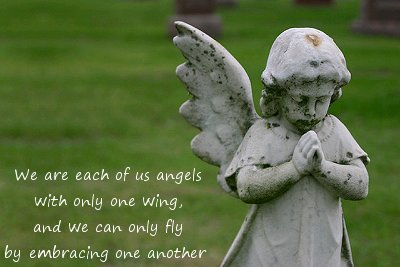 angels-one-wing