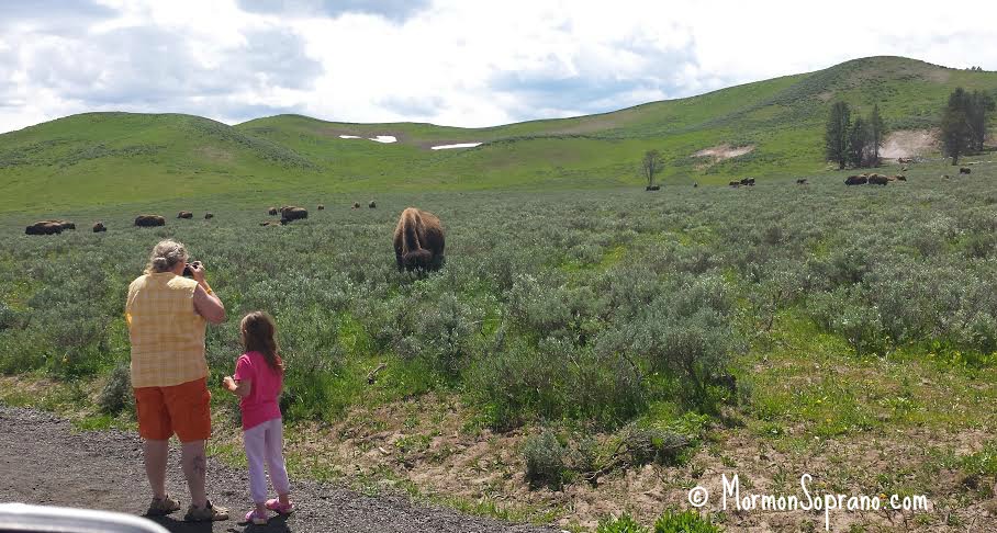 Yellowstone Grandma with a death wish, taking the child along