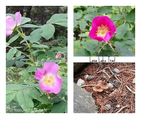 Enjoying the flora and fauna