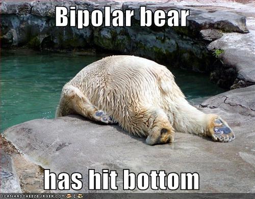 bipolar-bear