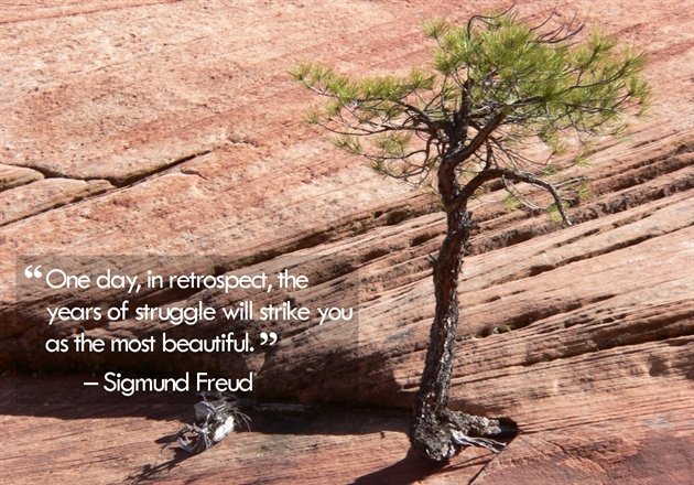 years-of-struggle-freud