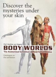 BODYWORLDS-anatomical-exhibition