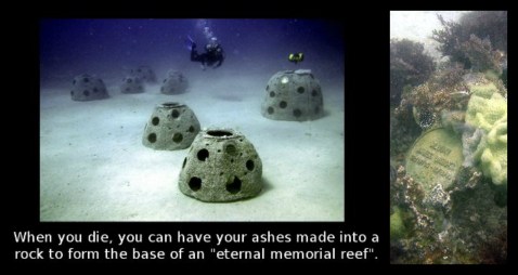Coral-Memorial-Reef-burial