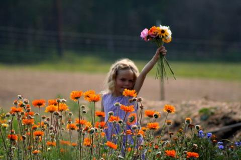 child-with-wild-roses