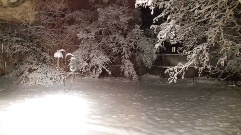 March comes in like a Lion at our house!