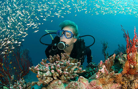 snorkeling-scuba-diving_1579984_inl