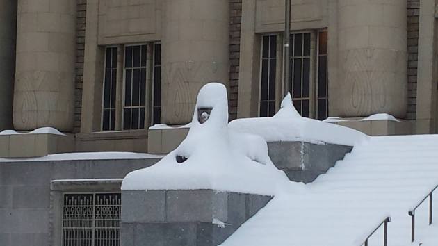 12369609_10154386170568294_436607756_o