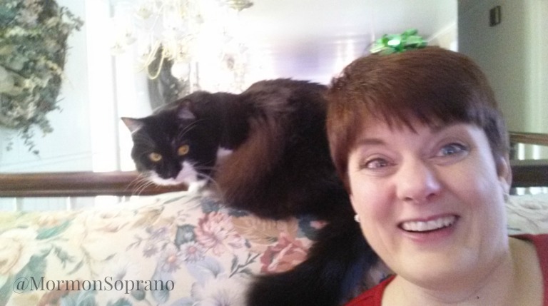 selfiestickselfiewithcat