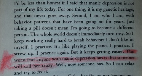 A-brilliant-madness-not-crazy