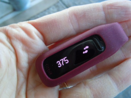 2016-07-07-fitbit.2