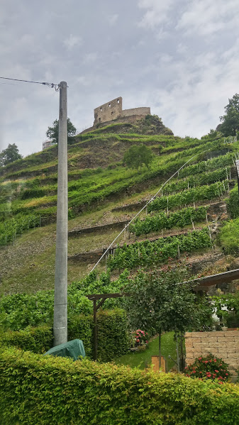 2016-07-08-rhine-river.3.6