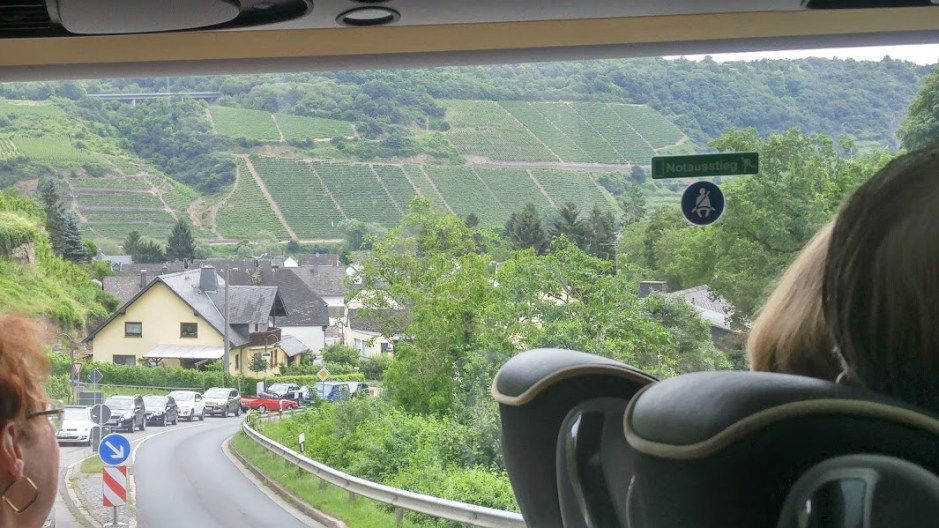 2016-07-08-rhine-river.3.7