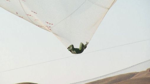 Skydiver-becomes-first-to-free-fall-into-net