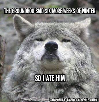 groundhog