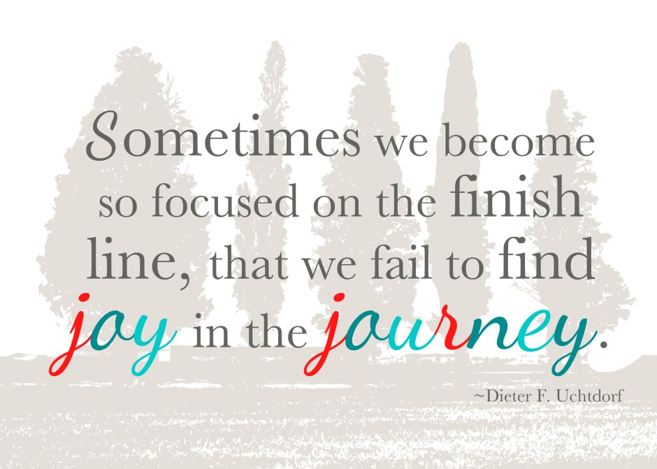 Joy_in_the_Journey