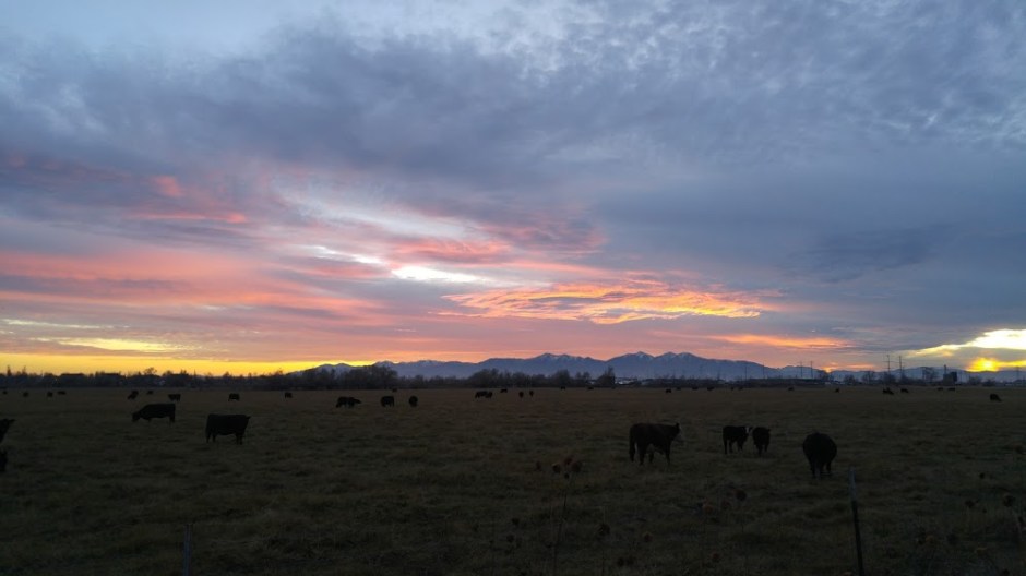 2017.11.23.thanksgiving.sunset