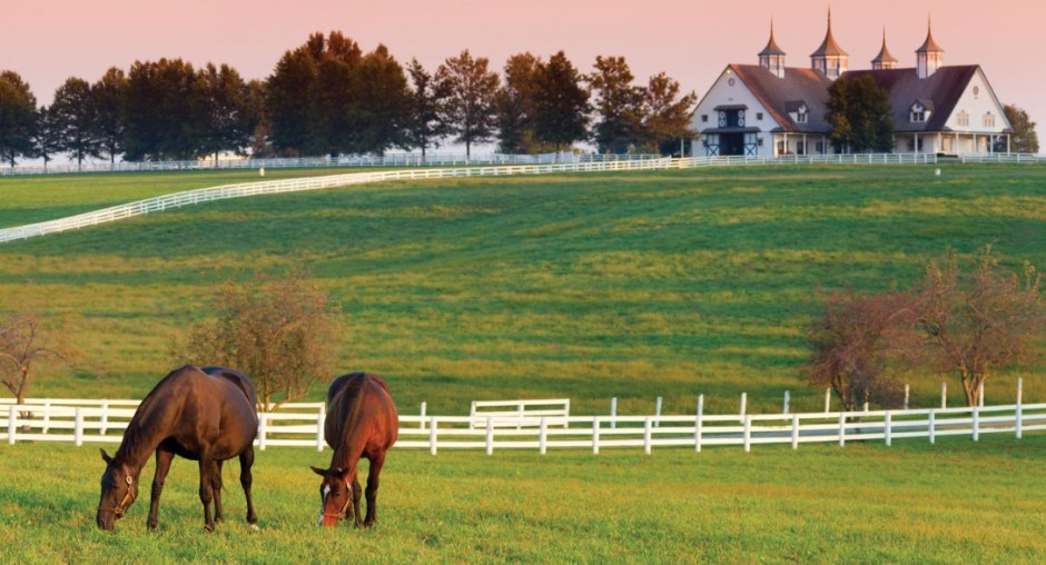 kentucky-horse-farm