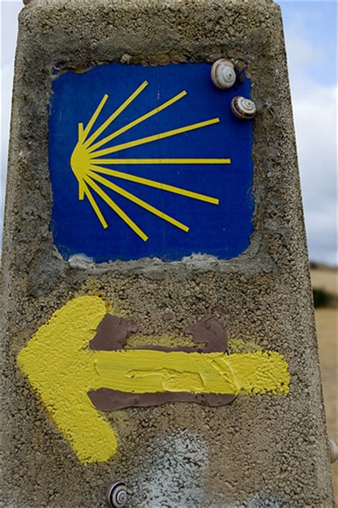 camino-way-marker